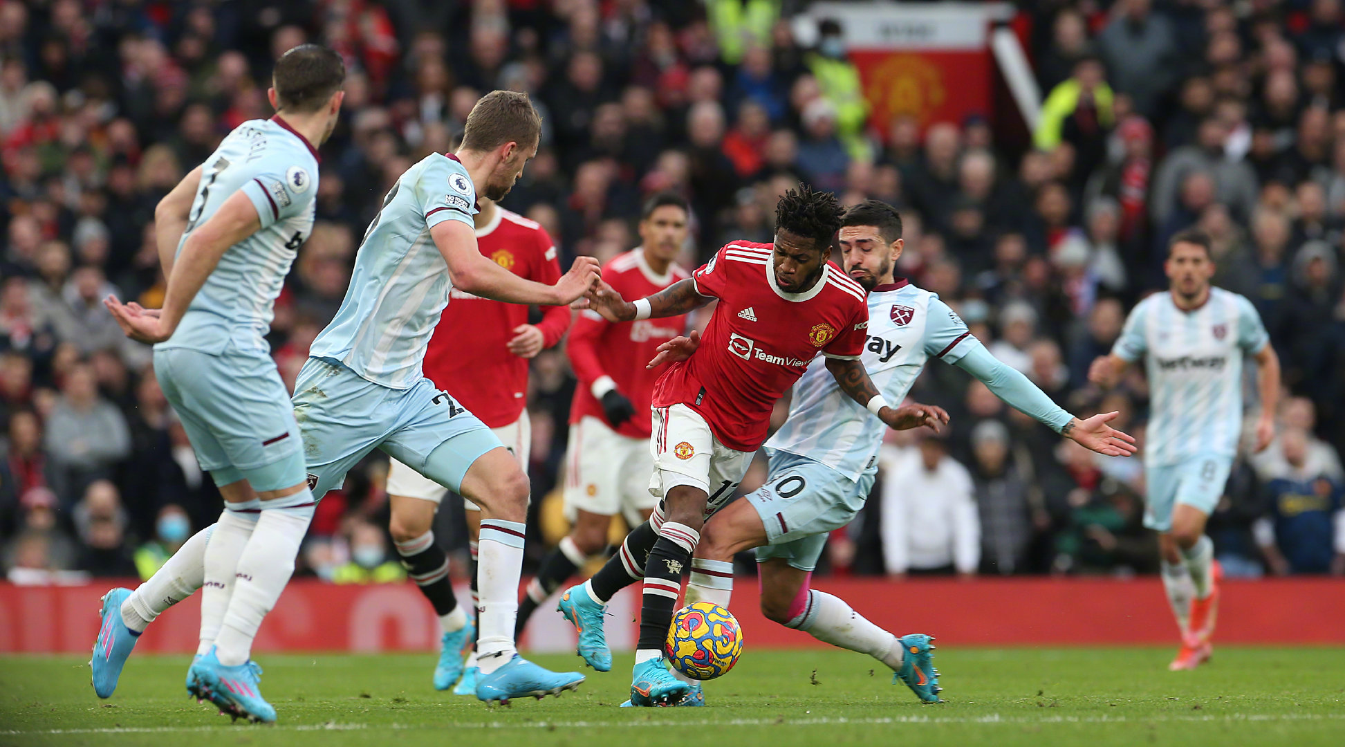 分享中国花 分享中国花